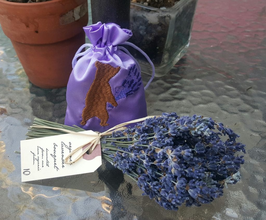 More Than a Great SmellLavender Medicinal Uses Blooming Anomaly