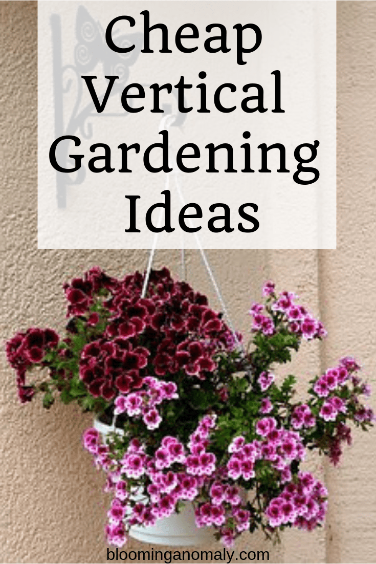 cheap vertical gardening ideas