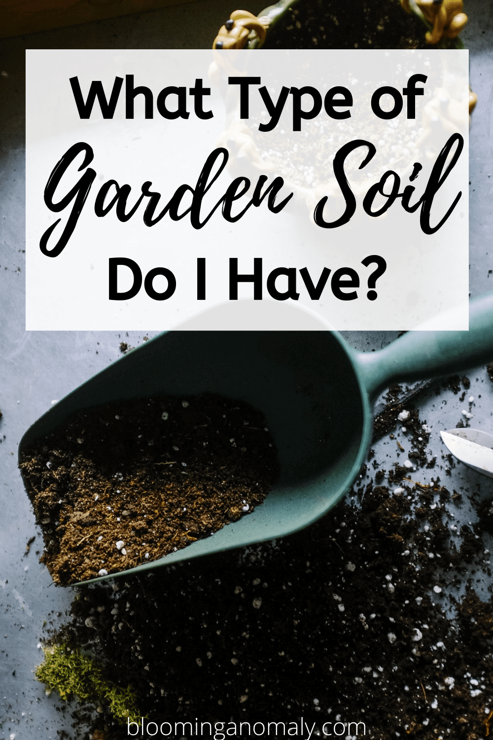 What Type of Garden Soil Do I Have? Blooming Anomaly