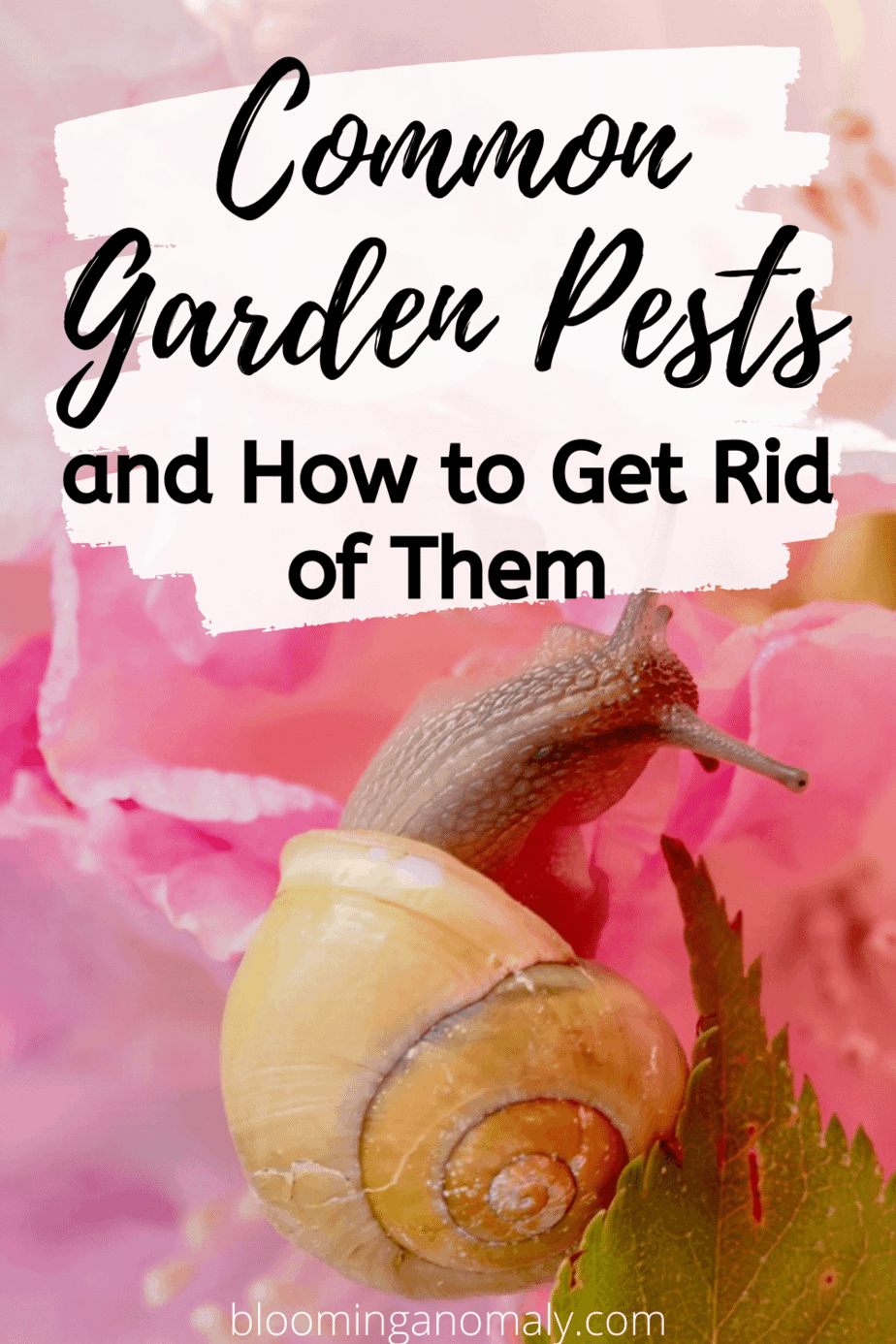 Common Garden Pests and How to Get Rid of Them Blooming Anomaly