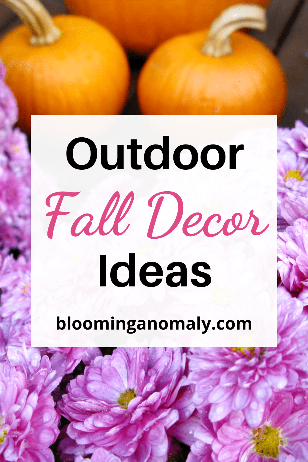 Outdoor Fall Decor Ideas with Plants Blooming Anomaly