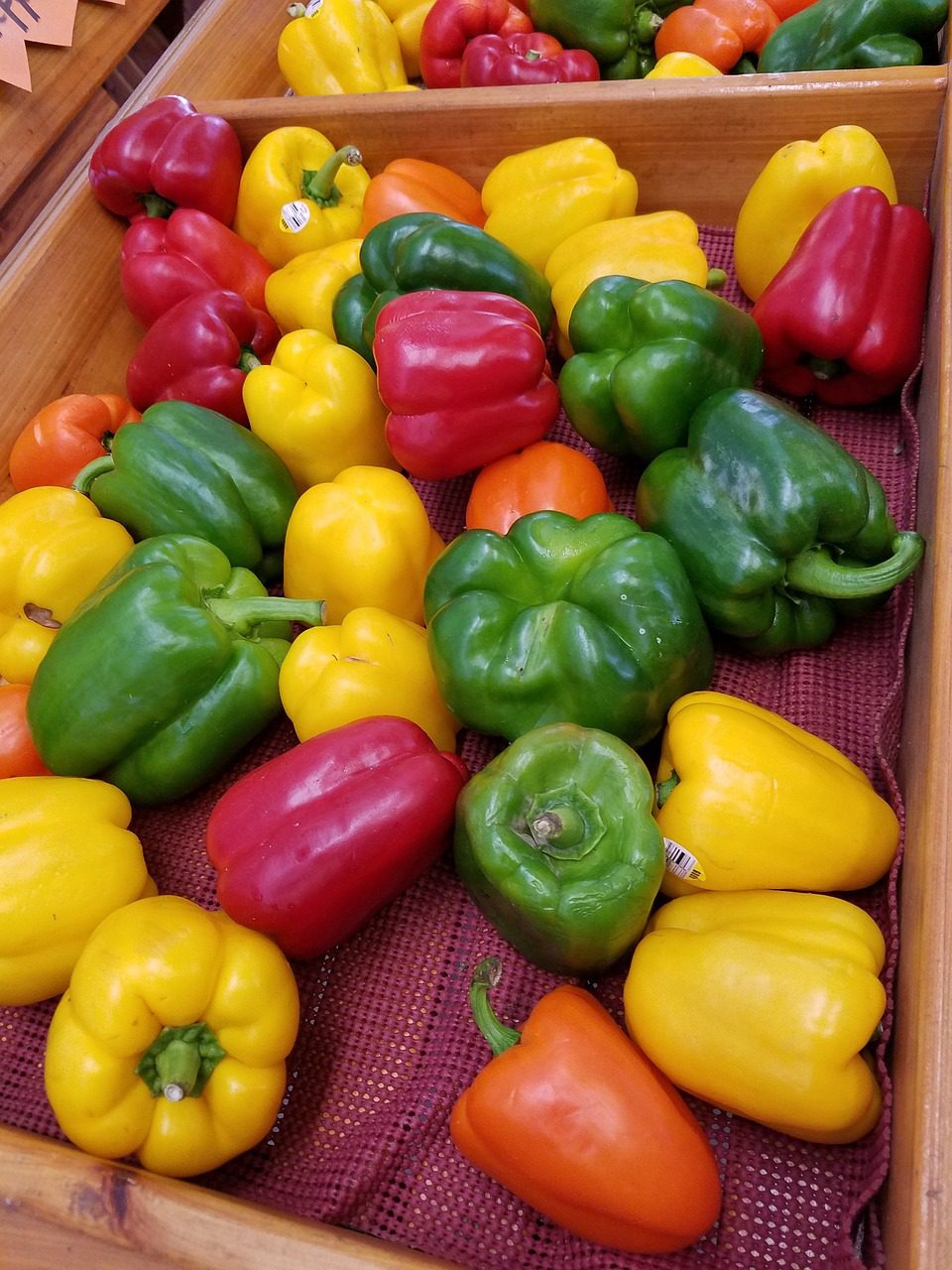 Growing Bell Peppers: Tips for a Bountiful Harvest - Blooming Anomaly