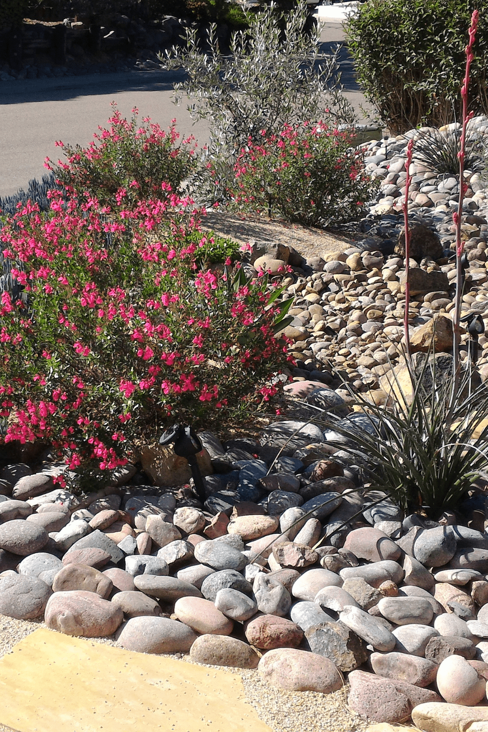 Blooming Rocks 18 Front Yard Landscaping Ideas with Rocks and Mulch - Blooming Anomaly