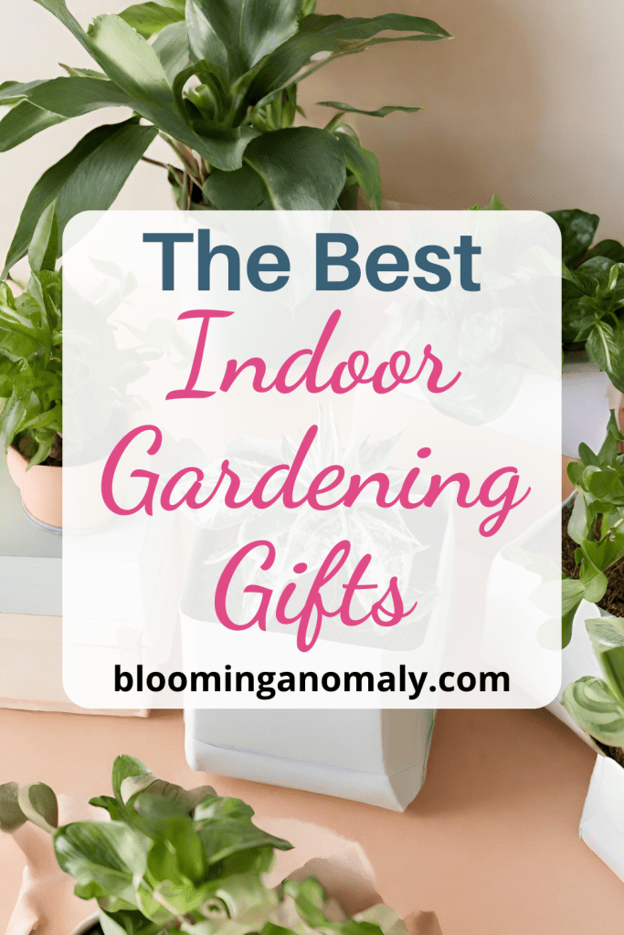 indoor gardening gifts