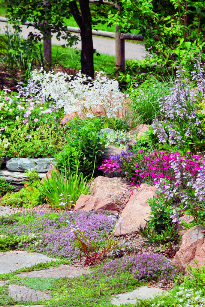 rock garden with plants