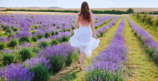 woman walking through field of lavender